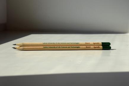 Pencil with basil seeds